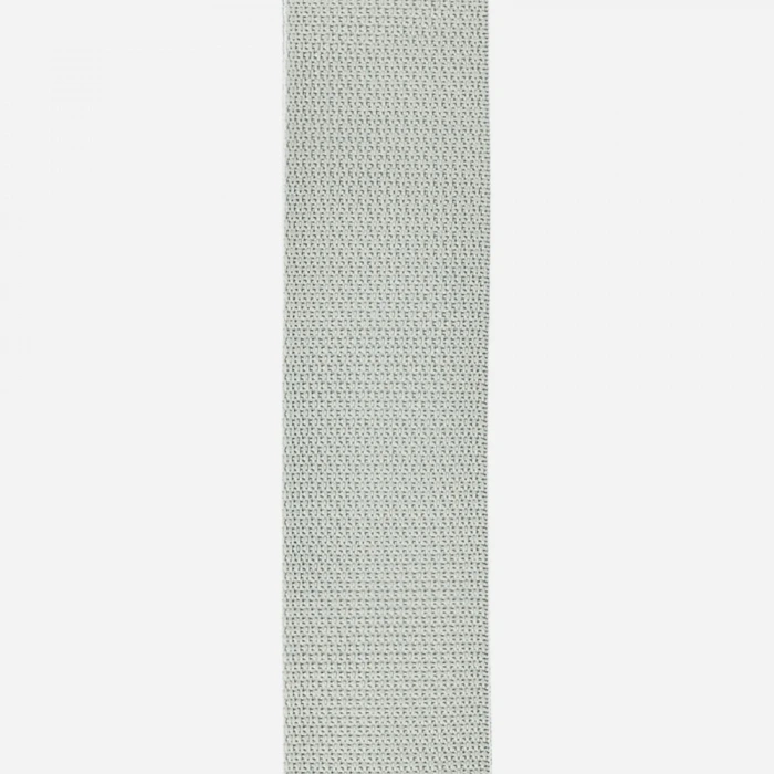 D'Addario PWS105 Polypro Guitar Strap (Silver)