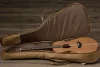 Електро-акустична гітара Taylor Guitars Academy 22E