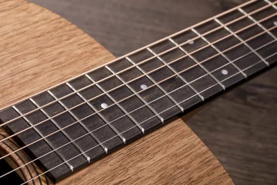 Електро-акустична гітара Taylor Guitars Academy 22E
