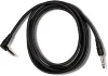 Футконтролер Ampeg AFS2