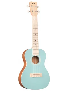 Cordoba 15CM Matiz in Mint