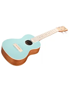 Cordoba 15CM Matiz in Mint