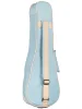 Укулеле Cordoba 15CM Matiz in Mint