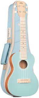 Cordoba 15CM Matiz in Mint