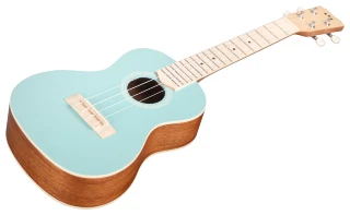 Cordoba 15CM Matiz in Mint