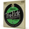 Струни D'Addario EJ25B Pro-Arte Composite Flamenco Black Nylon