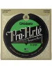 Струни D'Addario EJ25B Pro-Arte Composite Flamenco Black Nylon