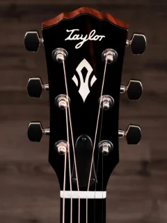 Taylor Guitars Gold Label 514e Sunburst Cream Pickguard