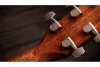 Електро-акустична гітара Taylor Guitars Gold Label 514e Sunburst Cream Pickguard