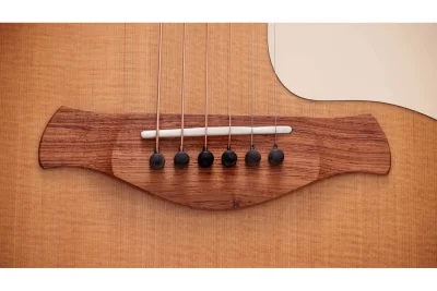 Електро-акустична гітара Taylor Guitars Gold Label 514e Sunburst Cream Pickguard