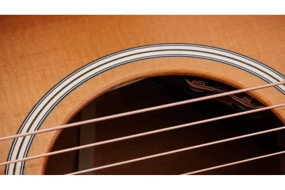 Електро-акустична гітара Taylor Guitars Gold Label 514e Sunburst Cream Pickguard
