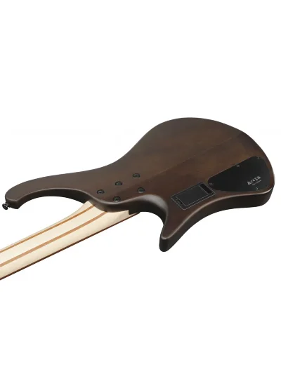 Бас-гітара Ibanez EHB600-WNF