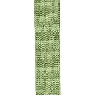 D'Addario PWS107 Polypro Guitar Strap (Green)