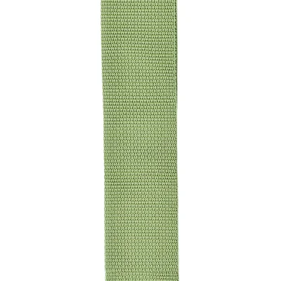 Ремінь для гітари D'Addario PWS107 Polypro Guitar Strap (Green)