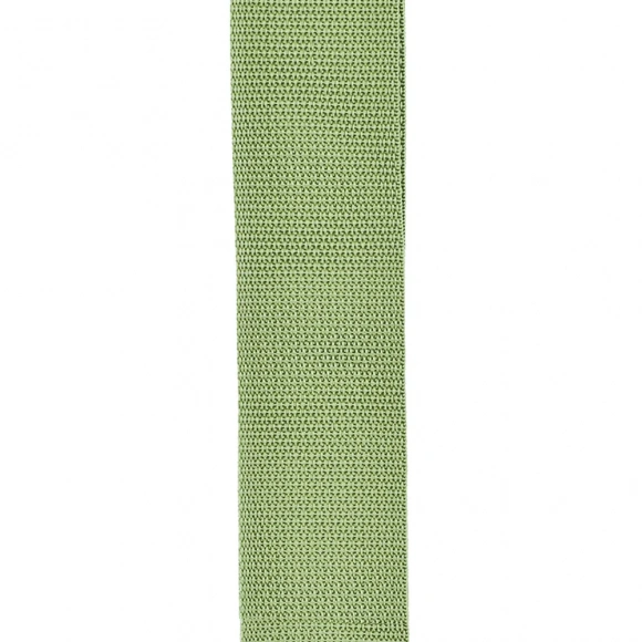 Ремень для гитари D'Addario PWS107 Polypro Guitar Strap (Green) Ремень для гитари D'Addario PWS107 Polypro Guitar Strap (Green)