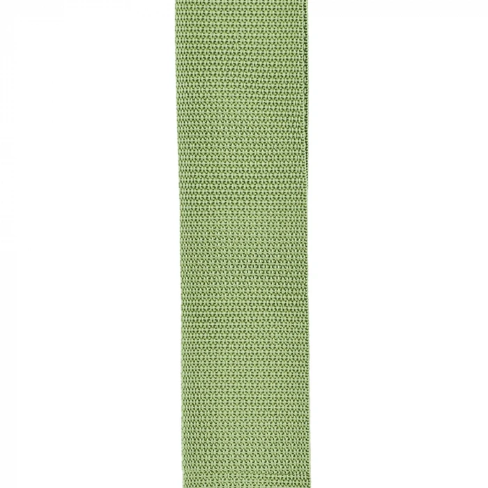 D'Addario PWS107 Polypro Guitar Strap (Green)