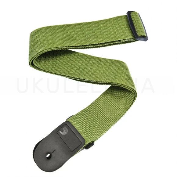 Ремень для гитари D'Addario PWS107 Polypro Guitar Strap (Green)