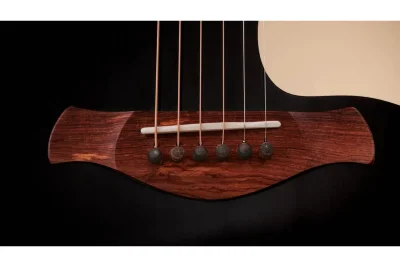 Електро-акустична гітара Taylor Guitars Gold Label 517E Blacktop