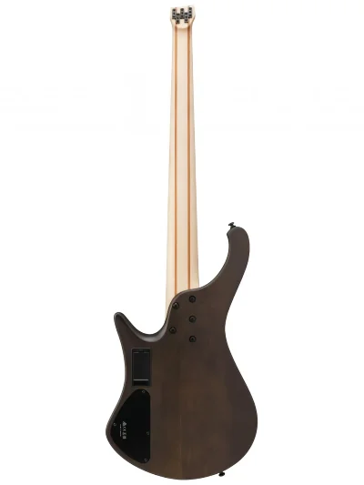 Бас-гітара Ibanez EHB605-WNF