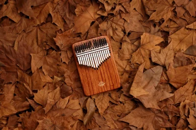 Калімба Hluru KY17 Red Rosewood