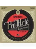 Струни D'Addario EJ45LP Pro-Arte Lightly Polished Normal Tension