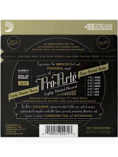 D'Addario EJ45LP Pro-Arte Lightly Polished Normal Tension