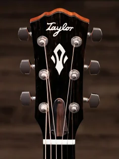 Taylor Guitars Gold Label 717e Sunburst Firestripe Pickguard