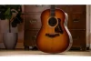 Електро-акустична гітара Taylor Guitars Gold Label 717e Sunburst Firestripe Pickguard